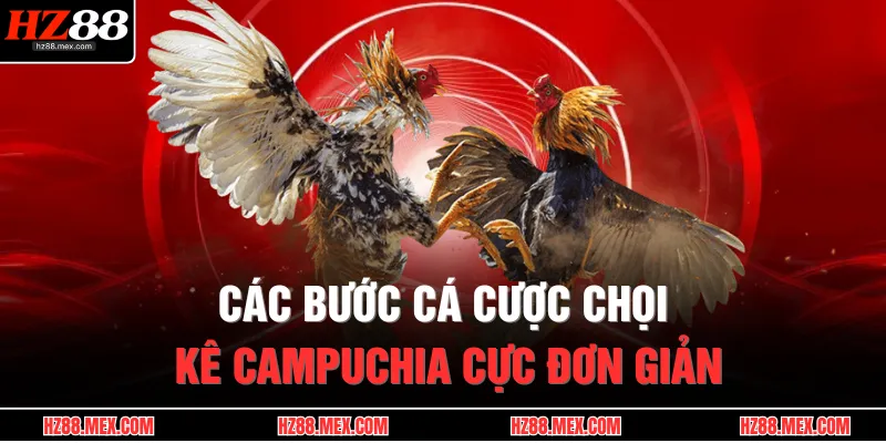 Đá Gà Campuchia | Thánh Địa Kê Chiến, Uy Tín Số 1 Châu Á 3 Các bước cá cược chọi kê Campuchia cực đơn giản
