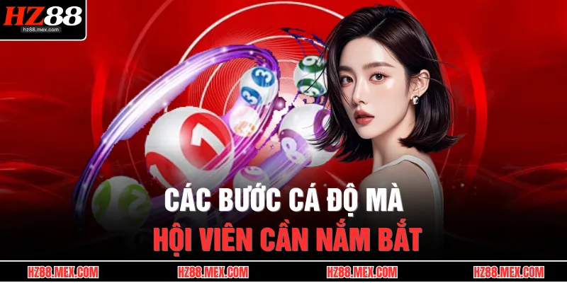 Xổ Số HZ88 2 Các bước cá độ mà hội viên cần nắm bắt