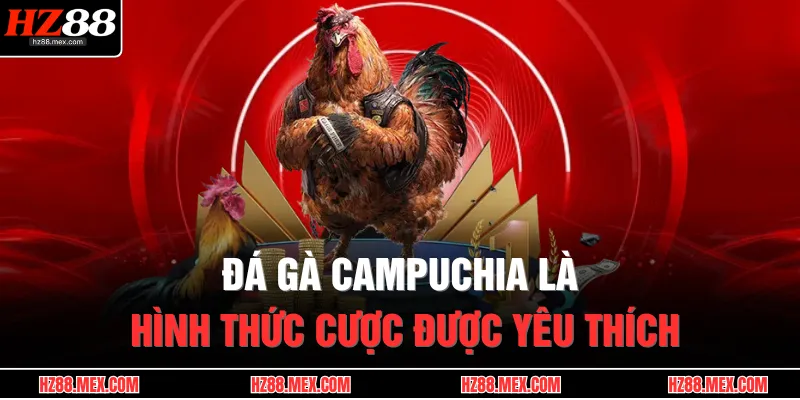 Đá Gà Campuchia | Thánh Địa Kê Chiến, Uy Tín Số 1 Châu Á 2 Đá gà Campuchia là hình thức cược được yêu thích