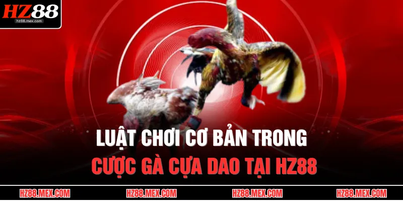 Đá Gà Cựa Dao – Đỉnh Cao Kịch Tính, Cuộc Đấu Rực Lửa 3 Luật chơi cơ bản trong cược gà cựa dao tại HZ88