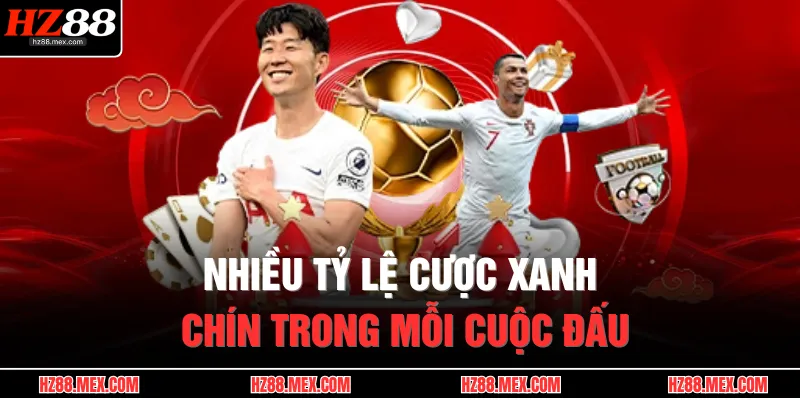 Thể Thao HZ88 2 Nhiều tỷ lệ cược xanh chín trong mỗi cuộc đấu