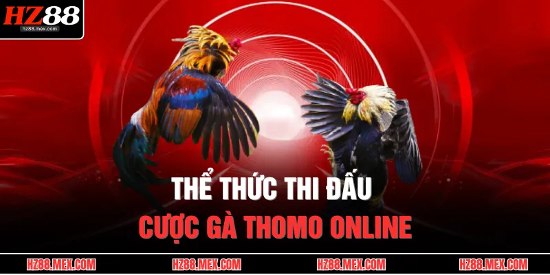 Đá Gà Thomo – Sới Gà Huyền Thoại, Đặt Cược Cực Đỉnh 3 Thể thức thi đấu cược gà Thomo online