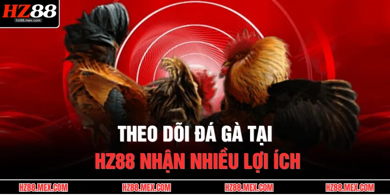 Đá Gà Campuchia | Thánh Địa Kê Chiến, Uy Tín Số 1 Châu Á 4 Theo dõi đá gà tại HZ88 nhận nhiều lợi ích